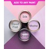 Glitter for Paint [5.3oz] – Holographic Silver with 2 x