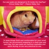 HAYPIGS Guinea Pig Toys and Accessories - Circus Themed Fleece