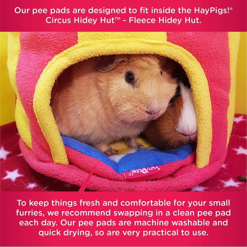 HAYPIGS Guinea Pig Toys and Accessories - Circus Themed Fleece