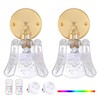 Shenmoyl Vintage Battery Operated Wall Sconces Set of Two, Wireless