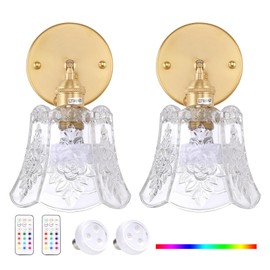 Shenmoyl Vintage Battery Operated Wall Sconces Set of Two, Wireless Battery Powered Rose Wall Sconce with Remote Control, RGB Dimmable LED Wall Light for Bedside Indoor Living Room (Transparent)