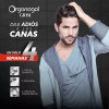 Shampoo Grisi Organogal Negro Brillante 400ml