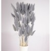 120pcs Gray Bunny Tail Pampas Grass Dried Flowers for Vase