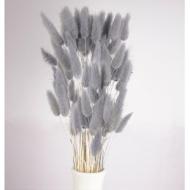 120pcs Gray Bunny Tail Pampas Grass Dried Flowers for Vase Boho Flowers Dried Babys Breath Wedding Decor Dry Flowers for Vase (Gray 120 PCS)