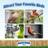 Backyard Birds No Mess Wild Bird Food - Premium Fruit