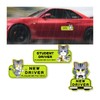 Student Driver Magnet Reflective Sticker, 3 PCS Kitten Pattern Please