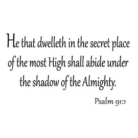 He That Dwelleth in The Secret Place of The Most High Shall Abide Under The Shadow of The Almighty Psalm 91:1 Wall Decals Bible Verses Quotes Scriptures Christian Home Decor