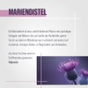 Sanct Bernhard Milk Thistle Capsules with 200 mg Milk Thistle
