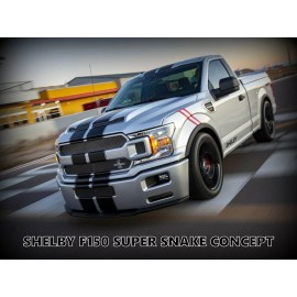 Ford F-150 Pickup Truck NEW Metal Sign: Shelby Super Snake Concept Truck