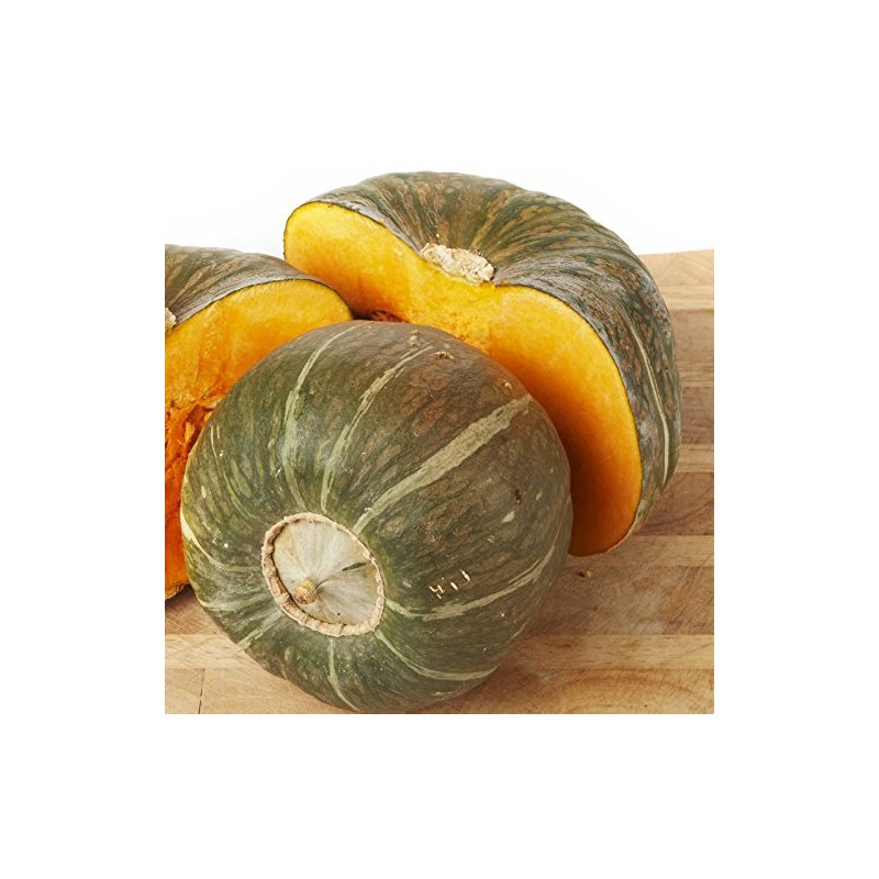 Burgess Buttercup Winter Squash Garden Seeds - 4 Oz -