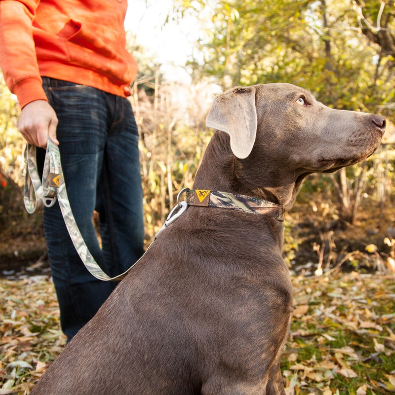Browning Pet Leashes, Classic Webbing Camo Leash One Size, One