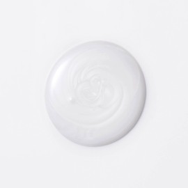 Wella Professionals Wella Professionals Invigo Brilliance Shampoo | For Fine/Normal Colored Hair| Color Protection & Color Vibrancy| 10.1 Fl Oz