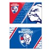 Western Bulldogs AFL Footy Set of 2 Magnets 78 x