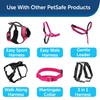 PetSafe Nylon Dog Leash - Strong, Durable, Traditional Style Leash