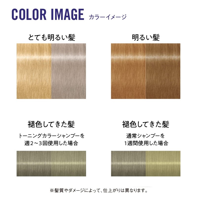 Got2b Toning Color Shampoo 10.1 fl oz (300 ml)