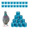 FULAIERGD Pack of 100 Multicoloured Aluminium Pigeon Leg Rings Identifying