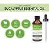 Eucalyptus Essential Oil 4oz / 120 ml -100% Pure &