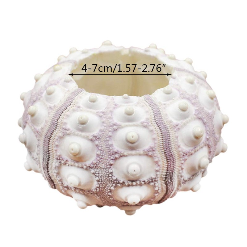 Xuniu Air Plants Sea Urchin Tabletop Tillandsia Holder Miniature Gardening