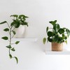 Gedotec Shelf Bracket Adjustable | Pack of 2 Shelf Brackets