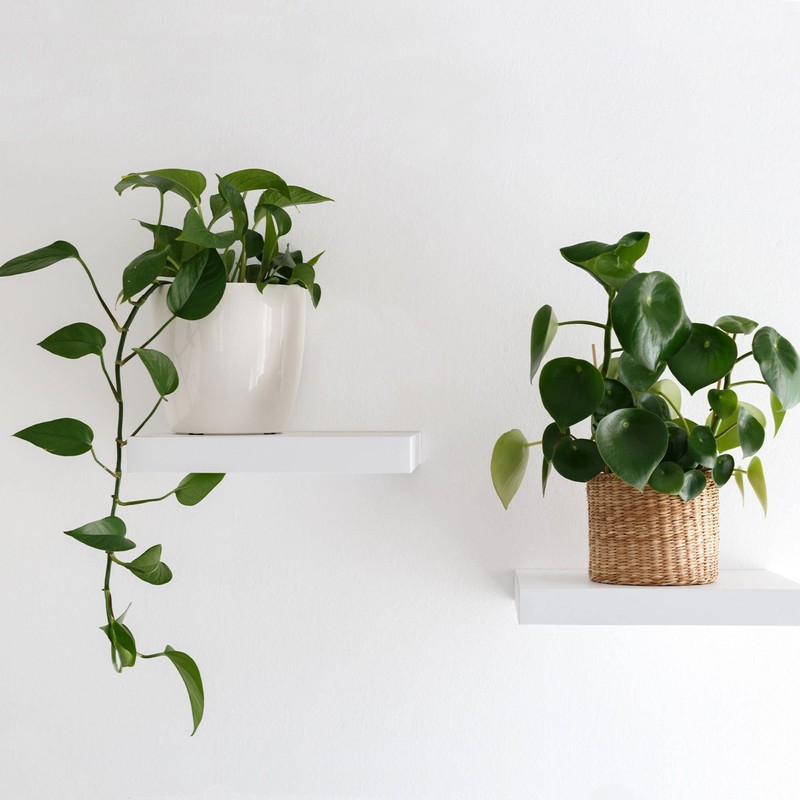 Gedotec Shelf Bracket Adjustable | Pack of 2 Shelf Brackets