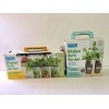Back to the Roots Kitchen Herb Garden Grow Kits,Basil/Cil