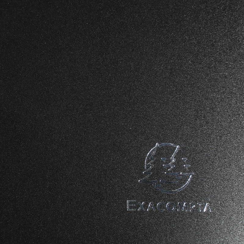 Exacompta 86351E Display Folder (30 Pockets (60 Views) Opaque, Repositionable