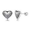 Titanium Love Heart Screw Back Earrings for Women Men Hypoallergenic