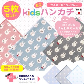 Cluster Gauze Handkerchief Set, Made in Japan, 100% Cotton, Four-layer Gauze, for Babies, Children, Nursery, Kindergarten, Elementary School, Quick Absorbent and Drying, Gentle on Skin, Gift, Mini