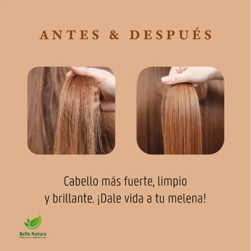 Shampoo Cacahuanache Anticaída Y Regenera 500 Ml