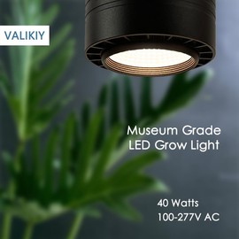 VALIKIY Hanging Grow Light 40W Large, Full Spectrum Warm White Color, with Timer, Plug-in Pendant Grow Lights with 15FT Fabric Power Cord, Decorative Light for Indoor Plants, Flowers