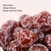 SXETBEAN Dried Plums, 12oz/350g Sour and Sweet Dried Plum (Sweet