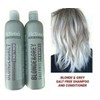 Set Activee Blonde & Grey Shampoo & Conditioner 16 oz