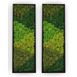 yersiz Large Moss Pattern Wall Art, Real Moss Wall Art for Living Room & Bedroom, Set of 2 Vintage Wall Panels for Interior Wall Decor, Bathroom & Home Decor, Eco-Friendly Natural Green Wall Decor