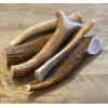 LARGE Elk/Deer Antler Premium Dog Chew (1pc) **OREGON ANTLER WORKS**