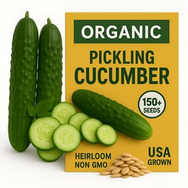 Over 150 Pickling Cucumber Seeds – Organic Heirloom, Non-GMO, High Germination Rate – Perfect for Planting in Home Gardens & Fresh Pickles
