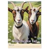 Animal lightness, US-Version (Wall Calendar 2026 DIN A3 Portrait), CALVENDO