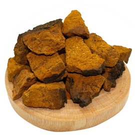 Russian Chaga Mushroom Powder 500g Dried Chaga Mushroom Powder / 러시아 차가버섯분말 500g 건조 차가버섯 가루