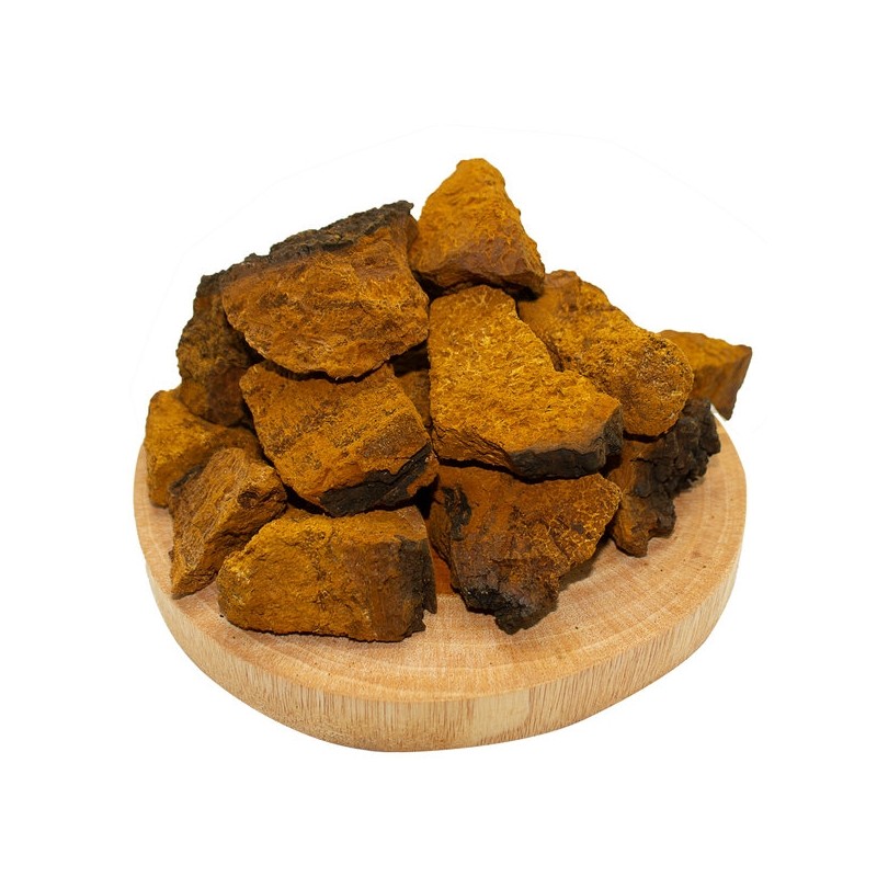 Russian Chaga Mushroom Powder 500g Dried Chaga Mushroom Powder /