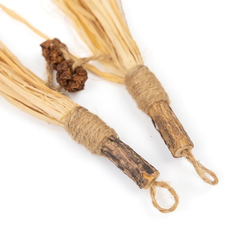 CanadianCat Company Cat Toy Matatabi Sticks with Raffia (Pack of