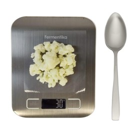 Nódulos de kéfir de leche vivos (30 gramos) búlgaros probióticos cultivo vivo