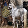 MJFSGYO 2 pcs 40" Hay Net for Horses, Made from