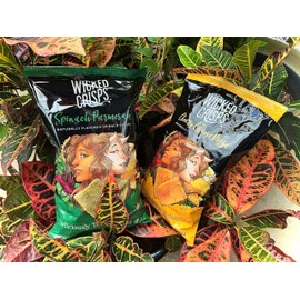 Wicked Crisps, Cheesy Lovers' Duo Variety Pack, 2 Bags Each of Cheesy Cheese Pizza Naturally Flavored Tomato Crisps and Spinach Parmesan Naturally Flavored Spinach Crisps, Baked Veggie Chips, Deliciously Deceptive Nutrition, Certified Gluten-free, Low-fa