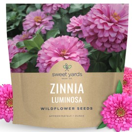Zinnia Luminosa - Large 1 Ounce Packet - 4,000 Flower Seeds for Planting - Zinnia elegans