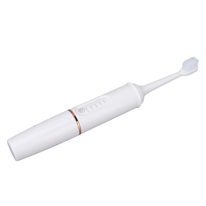 Plaque Remover IPX7 Waterproof Multifunction Electric Teeth Cleaning Kit for