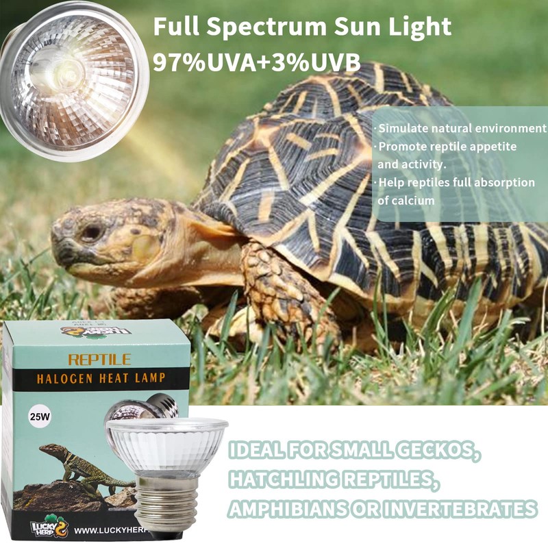 LUCKY HERP 4 Pack 50W UVA UVB Reptile Light Bulbs,