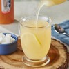 FixtureDisplays SHOTT Lemon, Ginger, and Honey Real Fruit Flavoring Syrup