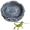 Reptile Water Tray Pet Bait Ball Bait Tray Natural Rock