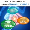 Hisakari MSM + Glucosamine EX