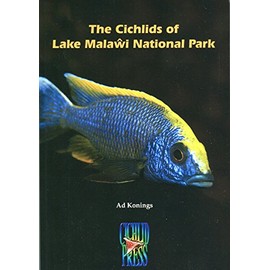 The Cichlids of Lake Malawi National Park