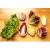 Italian Radicchio and Endive Chicory Mix Seeds for Planting About